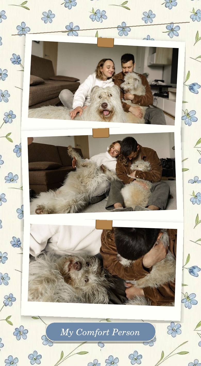 Photo strip